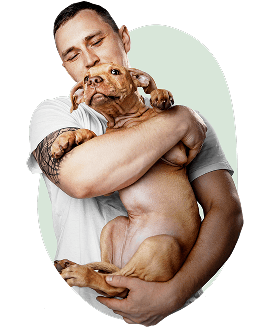 kim jesteśmy petcover